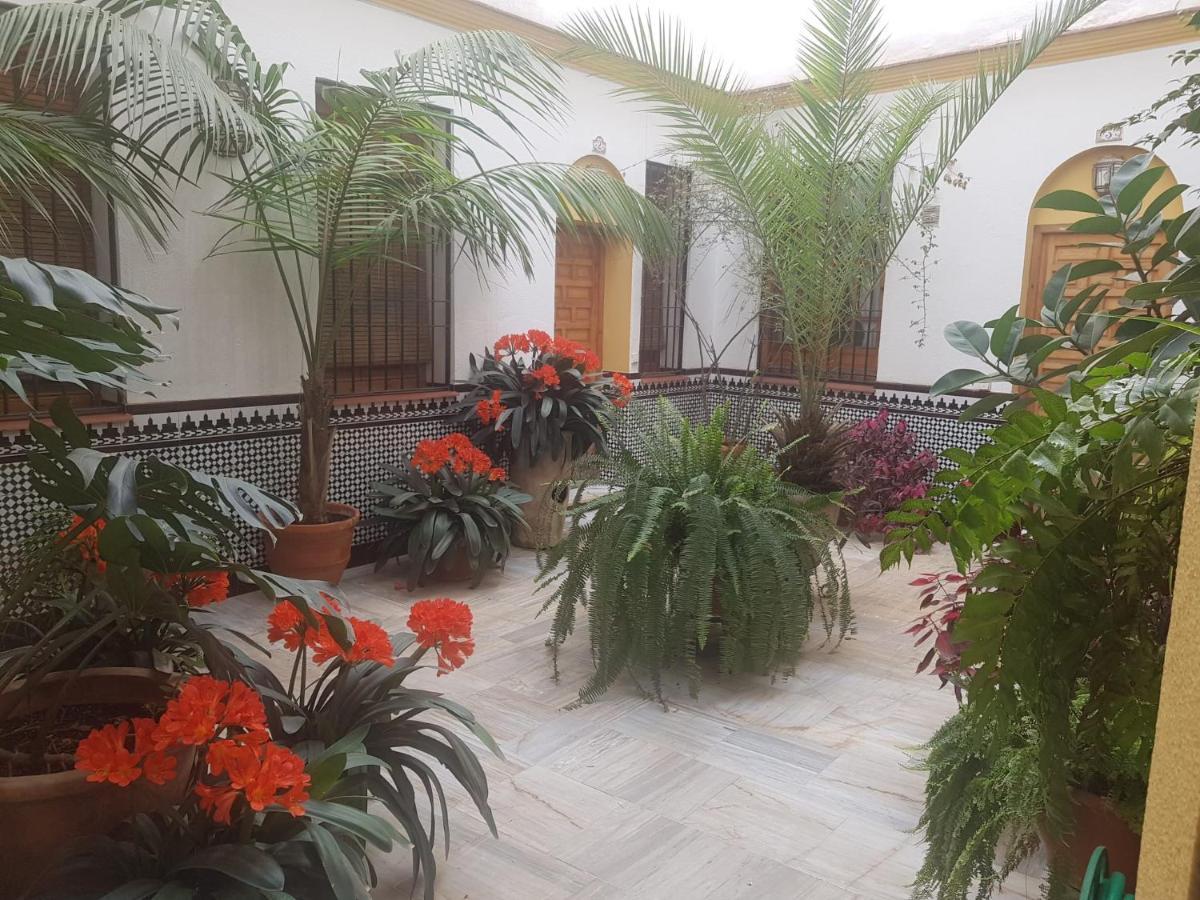 Casa Tipica Cordobesa Apartment Cordoba Exterior photo