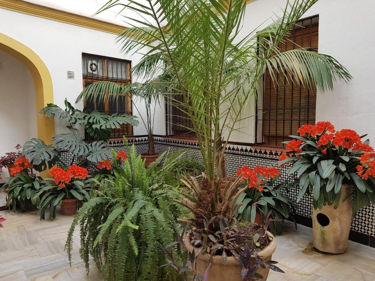 Casa Tipica Cordobesa Apartment Cordoba Exterior photo